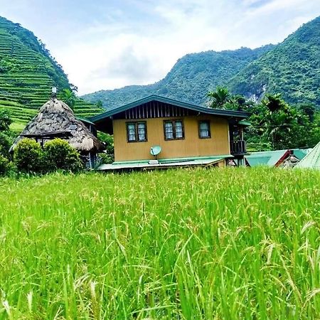 Batad Village Homestay & Restaurant Banaue Dış mekan fotoğraf